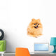 Cute Pomeranian Spitz Wall Decal Design 4