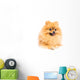 Cute Pomeranian Spitz Wall Decal Design 4