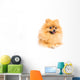 Cute Pomeranian Spitz Wall Decal Design 4