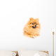 Cute Pomeranian Spitz Wall Decal Design 3