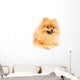 Cute Pomeranian Spitz Wall Decal Design 3