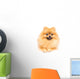 Cute Pomeranian Spitz Wall Decal Design 2