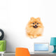 Cute Pomeranian Spitz Wall Decal Design 2