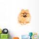 Cute Pomeranian Spitz Wall Decal Design 2