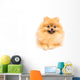 Cute Pomeranian Spitz Wall Decal Design 2