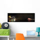 Sydney Harbor Wall Decal