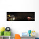 Sydney Harbor Wall Decal