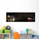 Sydney Harbor Wall Decal