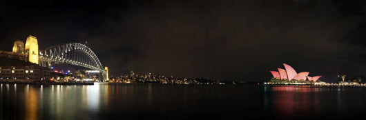 Sydney Harbor Wall Decal