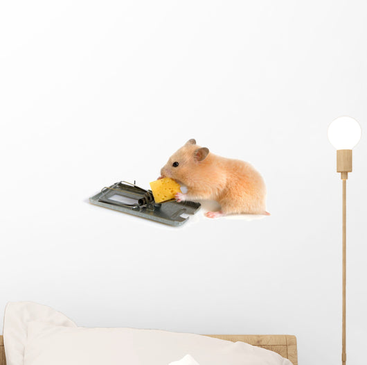 Free Cheese Is Only Wall Decal
