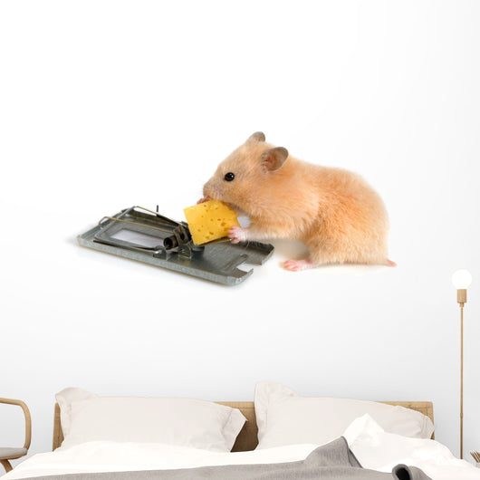 Free Cheese Is Only Wall Decal