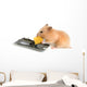 Free Cheese Is Only Wall Decal