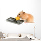 Free Cheese Is Only Wall Decal