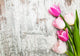 Border with Pink Tulips Wall Decal