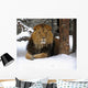 African Lion Wall Decal