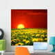 Sunrise Dandelion Field Wall Decal