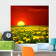 Sunrise Dandelion Field Wall Decal