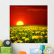 Sunrise Dandelion Field Wall Decal