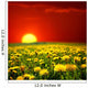 Sunrise Dandelion Field Wall Decal