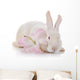White Rabbit and White-pink Wall Decal