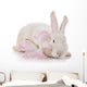 White Rabbit and White-pink Wall Decal