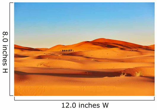 Camel Caravan Sahara Desert Wall Decal