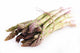 Asparagus Wall Decal