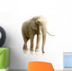 Rear Elephant White Wall Decal