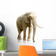 Rear Elephant White Wall Decal