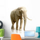Rear Elephant White Wall Decal