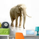 Rear Elephant White Wall Decal
