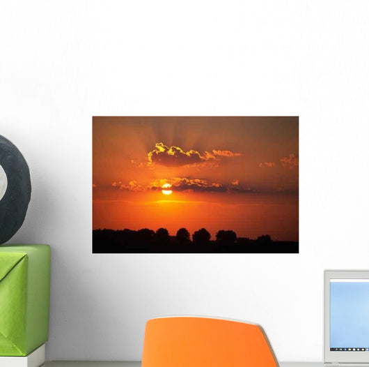 Sunset Wall Mural