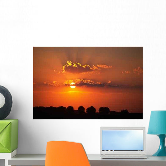 Sunset Wall Mural