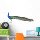 Beautiful Male Indian Peacock Wall Decal