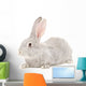 Portrait Gray Rabbit Wall Decal