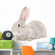 Portrait Gray Rabbit Wall Decal