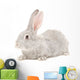 Portrait Gray Rabbit Wall Decal