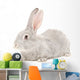 Portrait Gray Rabbit Wall Decal