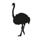 Ostrich Silhouette Wall Decal
