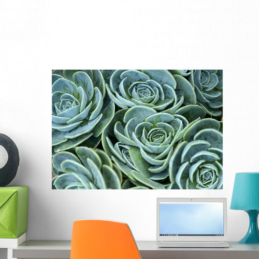Succulent Plant Wall Decal