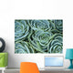 Succulent Plant Wall Decal