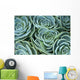 Succulent Plant Wall Decal