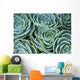 Succulent Plant Wall Decal