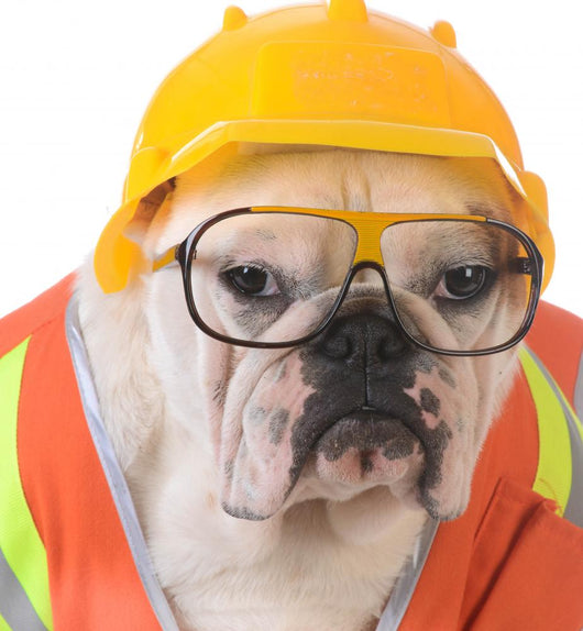 Working Dog Wall Decal