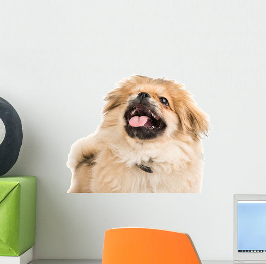 Pekingese Portrait Wall Decal Design 3