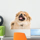 Pekingese Portrait Wall Decal Design 3