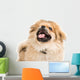 Pekingese Portrait Wall Decal Design 3