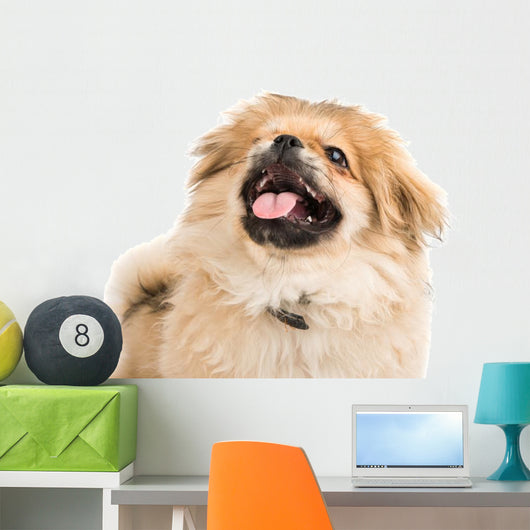 Pekingese Portrait Wall Decal Design 3