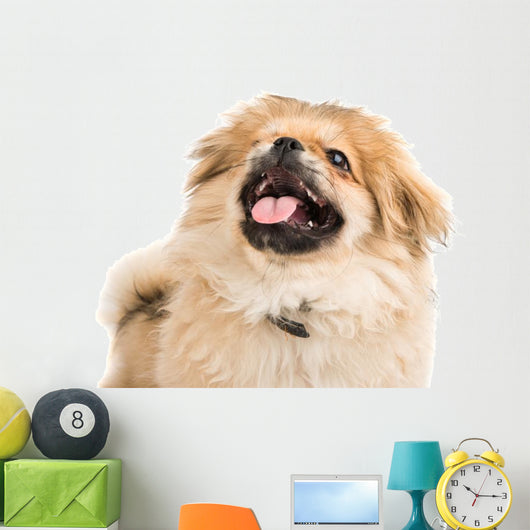Pekingese Portrait Wall Decal Design 3