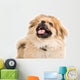 Pekingese Portrait Wall Decal Design 3